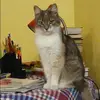 Отзыв от Наталия Окулова